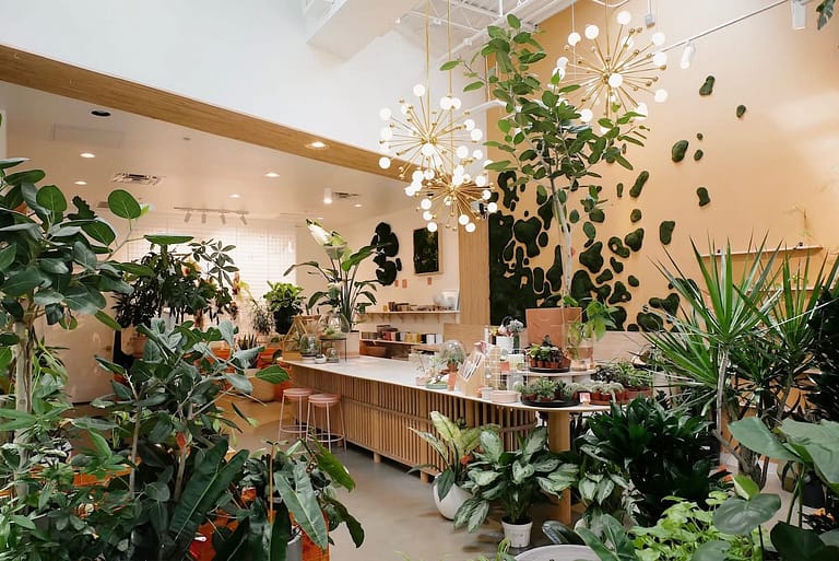 Black-Owned Plant & Flower Shops in Houston 